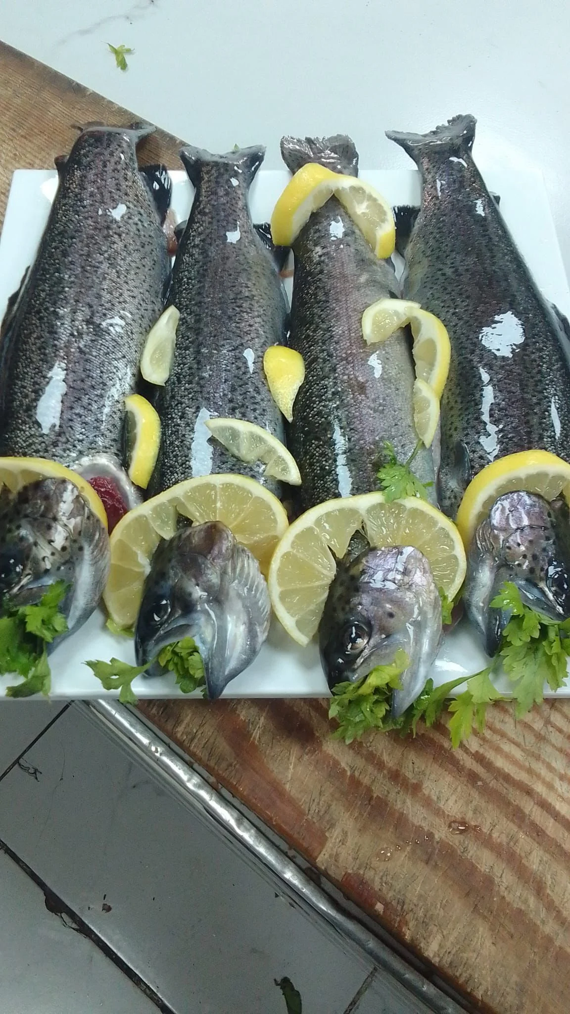 galeri_20260227_155846_d9f27cbbe2cd5951571b